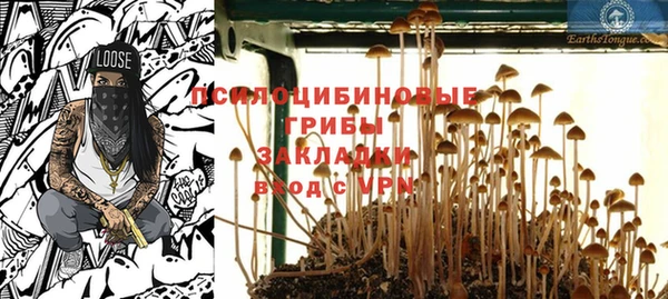 винт Алексин