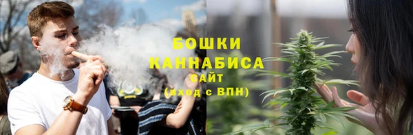 ПСИЛОЦИБИНОВЫЕ ГРИБЫ Армянск