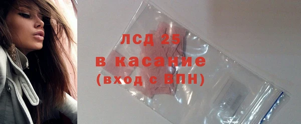 ГАЛЛЮЦИНОГЕННЫЕ ГРИБЫ Покров