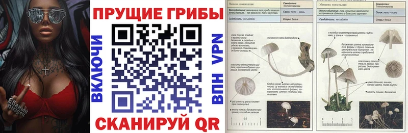 Галлюциногенные грибы прущие грибы  Добрянка 